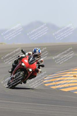 media/May-14-2023-SoCal Trackdays (Sun) [[024eb53b40]]/Turn 12 (1145am)/